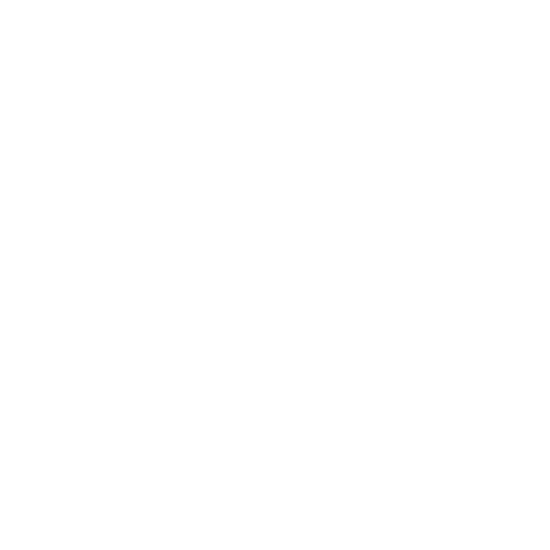 Logo Valle Andino Tours blanco